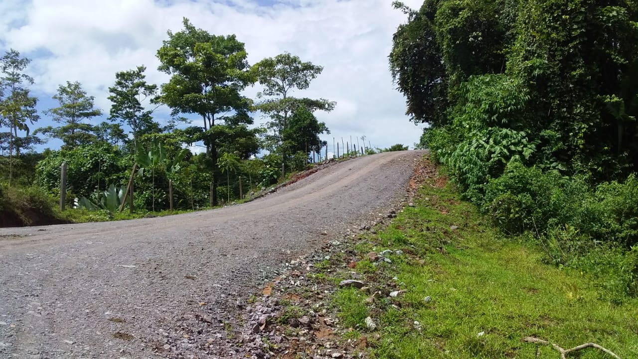 siuna2